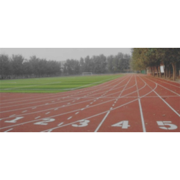 塑胶跑道-武汉赛龙体育设施-塑胶跑道工程