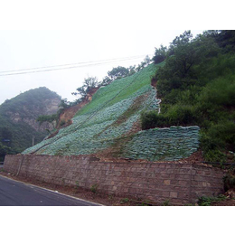 边坡植生袋-宏祥股份(在线咨询)-植生袋