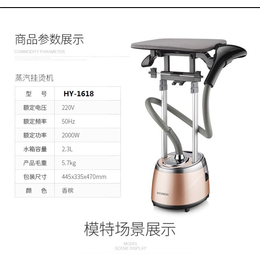 柳州中型立式挂烫机-中型立式挂烫机团购礼品-昂力