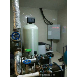 商水*2吨循环水除垢设备-锅炉软化水设备现货*