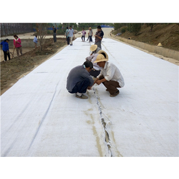 唐能-新疆膨润土防水毯-新疆膨润土防水毯工厂