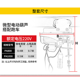 微型电动葫芦支架-微型电动葫芦-河北东圣吊索具