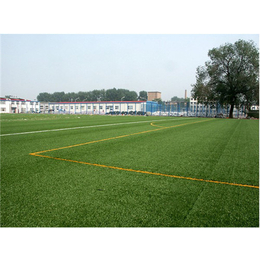 邯郸市学校足球场草坪人造草坪每平米价格