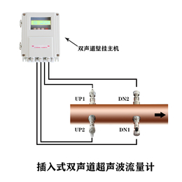 大连海峰TDS-100插入式双声道超声波流量计缩略图