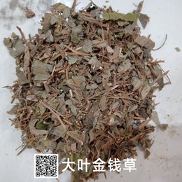 中药材*草 *草多少钱一公斤