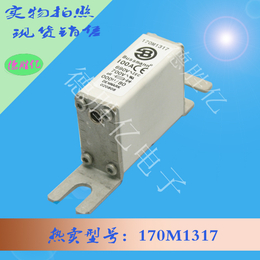 巴斯曼熔断器 170M1317  现货全新量多从优