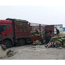 卫生间回填陶粒-卫生间回填陶粒采购-沐伊建材(推荐商家)