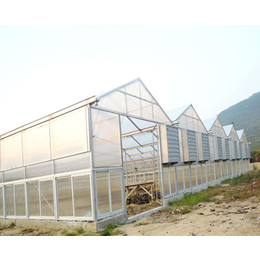 温室玻璃大棚-合肥玻璃大棚-合肥小农人(查看)