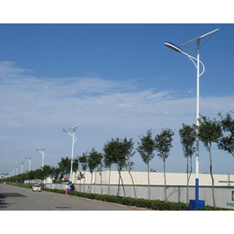 新农村太阳能路灯-太阳能路灯-山东本铄新能源公司