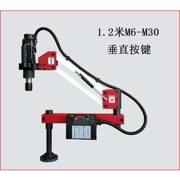 甘肃模内套丝机LD1500D30按键版隆盾数控攻牙机扭力足