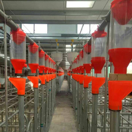 2020新型自动饲喂系统养猪场自动化料线设计安装