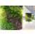 室外植物墙-德之助展览(在线咨询)-威海植物墙缩略图1