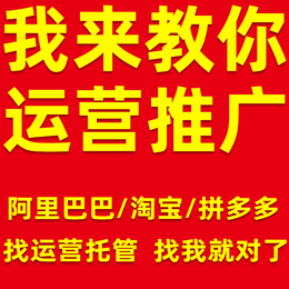 江苏做阿里巴巴托管代运营比较好的公司 要做好运营先要了解流程缩略图