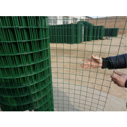 宏特金属丝网(在线咨询)-泸州绿色铁丝网-防护绿色铁丝网厂家