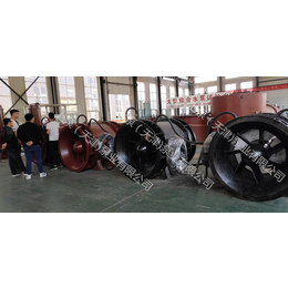 供应安徽合肥大型水利输水项目用QGWZ不锈钢叶轮全贯流潜水泵