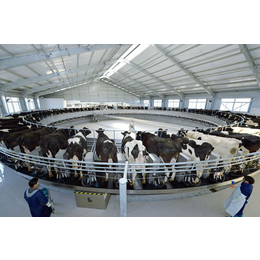 奶牛挤奶厅生产厂家-成城物联(在线咨询)-临沂奶牛挤奶厅