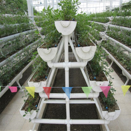 低价批发草莓立体种植架 多层无土栽培设备 阳台天台水管种菜箱