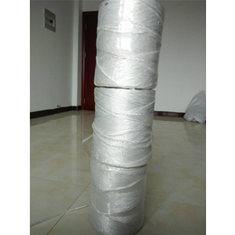 华佳麻绳品质保证(图)-塑料打捆绳价格-江苏塑料打捆绳