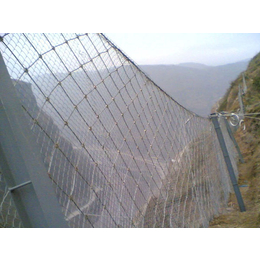 山体边坡防护网-久高(在线咨询)-边坡防护网