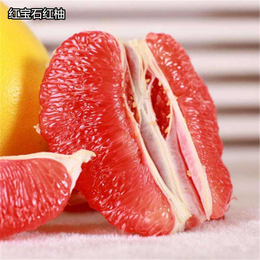 红宝石红柚出售-仙蜜果(在线咨询)-金华红宝石红柚