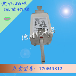 巴斯曼熔断器 170M3812 供应全新 欢迎订购缩略图