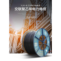 上海胜华电缆公司销售部缩略图