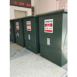 广西柳州地区10KV高压电缆分支箱陕西南业电力报价