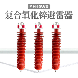 安徽供应220KV电站型避雷器HY10WZ-204-532