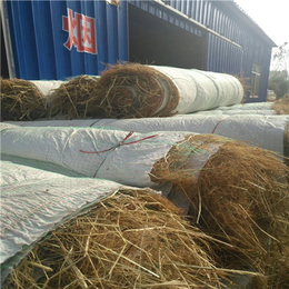 椰丝纤维毯设备厂家-黔南椰丝纤维毯-*河道护坡绿化(查看)