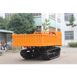 6吨履带运输车-源工机械(在线咨询)-宁夏履带运输车