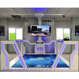 佳新源*定制-vr*体验馆哪家好-沈阳vr*体验馆