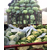 大型蔬菜代收公司报价-金土地蔬菜*包办-湖北蔬菜代收公司缩略图1