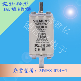 西门子熔断器 3NE8 024-1 全新量多 供应
