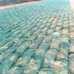 生态袋生产厂家-新疆生态袋-通佳边坡生产*(查看)