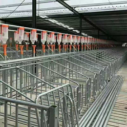 养猪设备 全自动喂料料线 猪舍自动料线 猪场全自动喂料系统