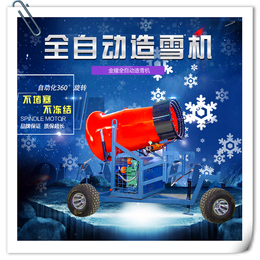 笙箫韵响冬 造雪机温湿度 滑冰场碰碰车 冰鞋 小型戏雪乐园