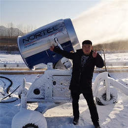 造雪机设备 全自动远程控制人工造雪机 造雪机厂家