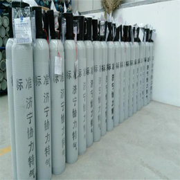 供应河北沧州N2中H2S标准气体 济宁协力标准气体定制 