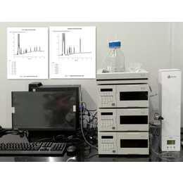Rohs2.0之多溴联ben和多溴联ben醚检测液相色谱仪