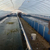 湖州漳州养鱼帆布鱼池价格 基围虾养殖帆布池 养对虾帆布水池缩略图2