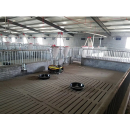 新疆自动化养猪设备料线厂家猪场自动化上料猪场喂料料线
