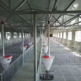 猪场自动上料线 育肥舍自动料线安装设计 母猪舍自动上料线厂家 