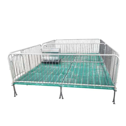 誉发畜牧双体保育床食槽小猪保育栏猪用设备复合保育床