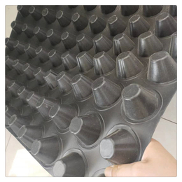 洛阳市建筑夹层塑料板现货 厂家出售2公分排水板卷材 排水性好
