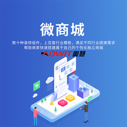 在线商城app 微商城开发价格