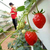 草莓立体栽培槽 蔬菜种植槽 英耐尔缩略图1