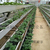栽培槽 草莓立体栽培槽 叶菜类水培槽 英耐尔缩略图3