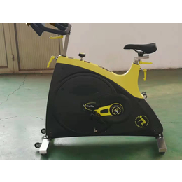 厂家动感单车健身家用小型健身器材金属脚踏动感单车