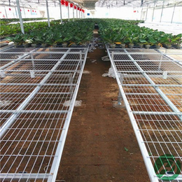 北京航迪花果蔬菜可用移动苗床