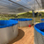 镀锌板养殖池帆布池蓄水池 高密度养殖鱼类虾类帆布水池缩略图4